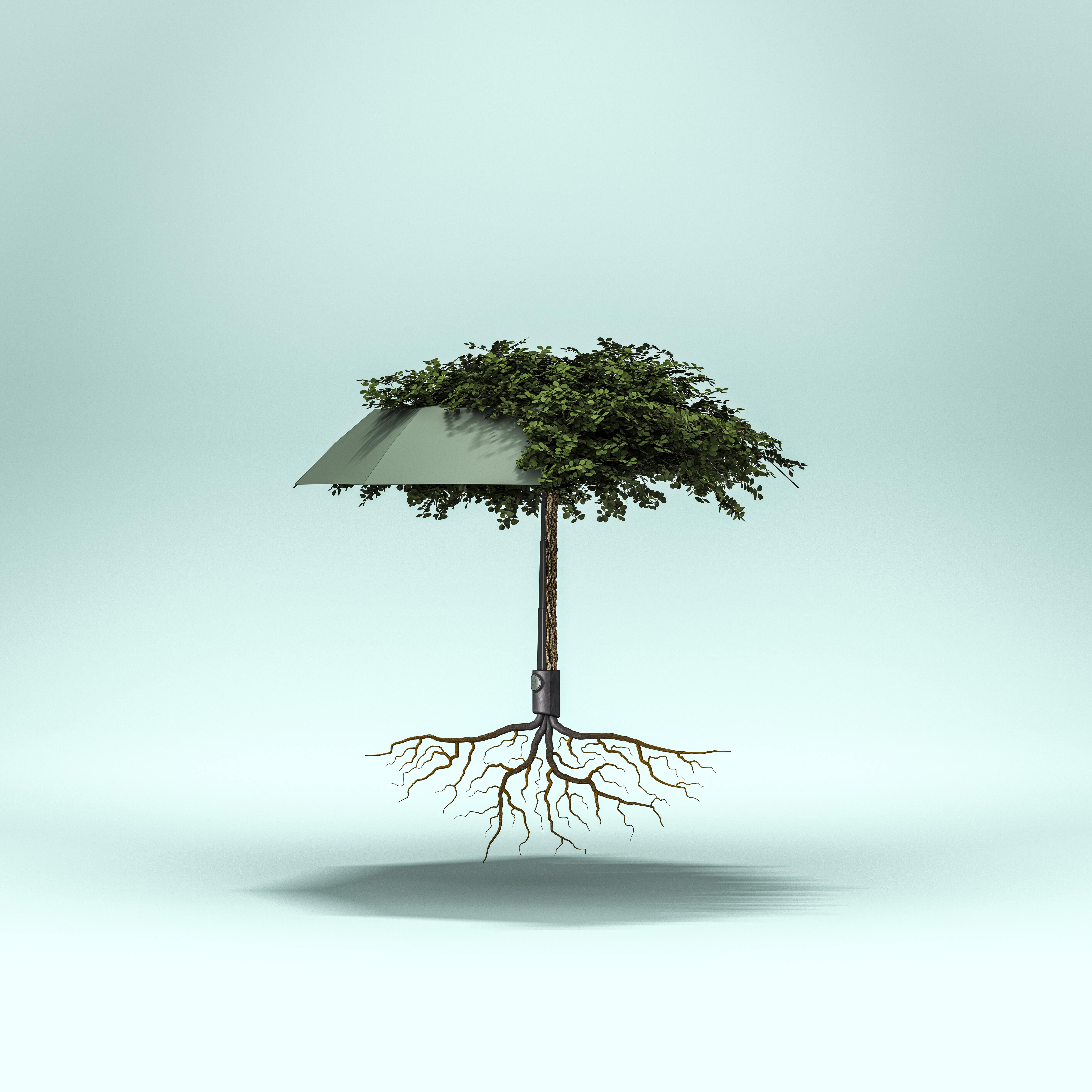 Knirps Umbrella Vision Duomatic Box - photo 3